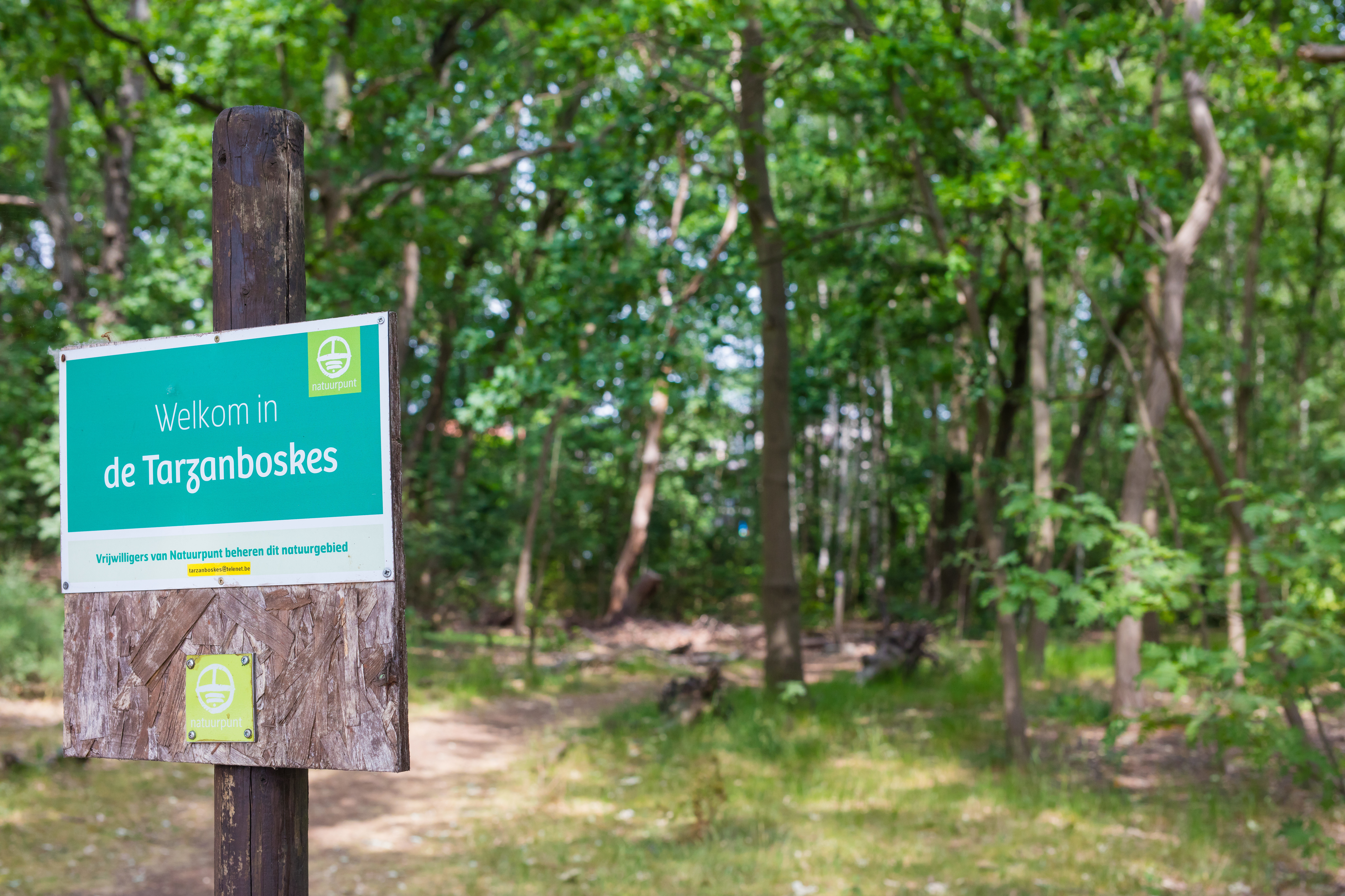 Ingang Tarzanboskes met het aankondigingsbord Ingang Tarzanboskes met het aankondigingsbord